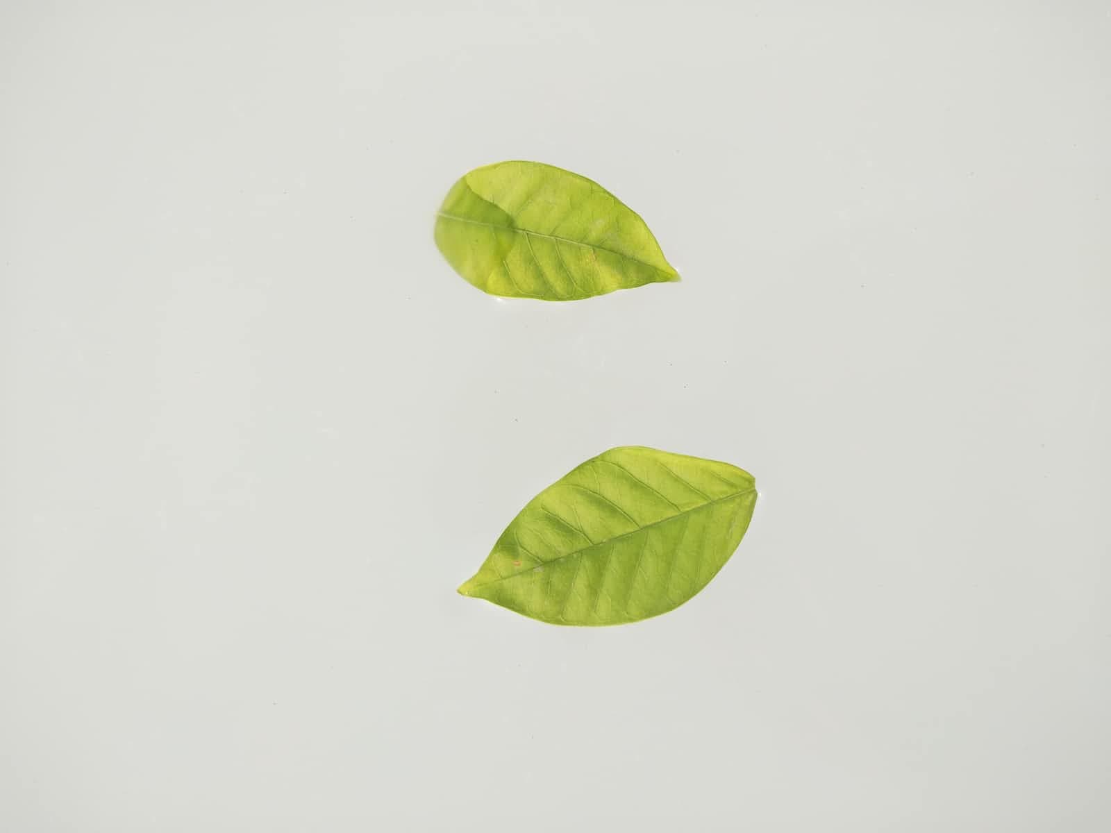 Spring Boot Annotations Everyone Must Know in 2023